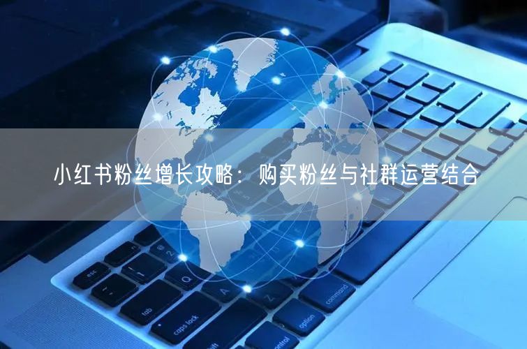 小红书粉丝增长攻略：购买粉丝与社群运营结合
