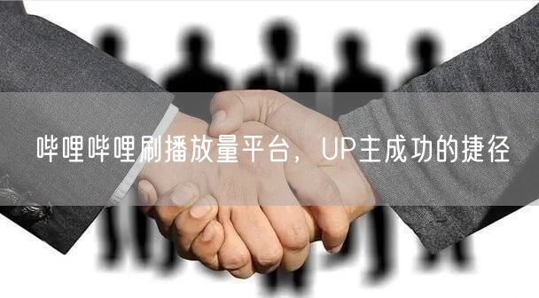 哔哩哔哩刷播放量平台，UP主成功的捷径