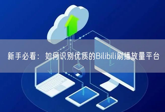 新手必看：如何识别优质的Bilibili刷播放量平台
