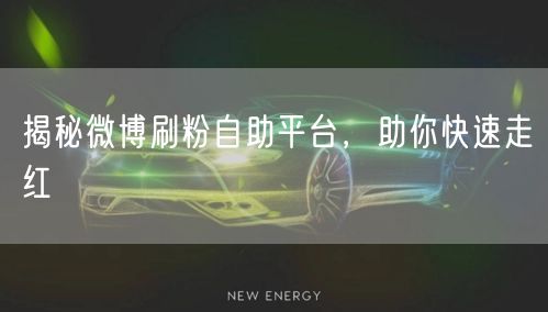 揭秘微博刷粉自助平台，助你快速走红