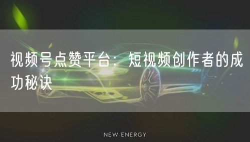 视频号点赞平台：短视频创作者的成功秘诀